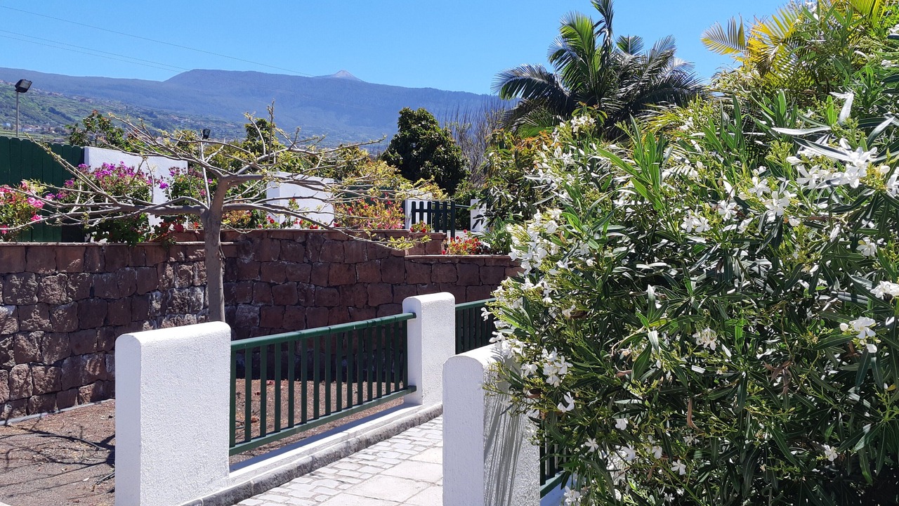 Photo of Outdoor in Las Arenas