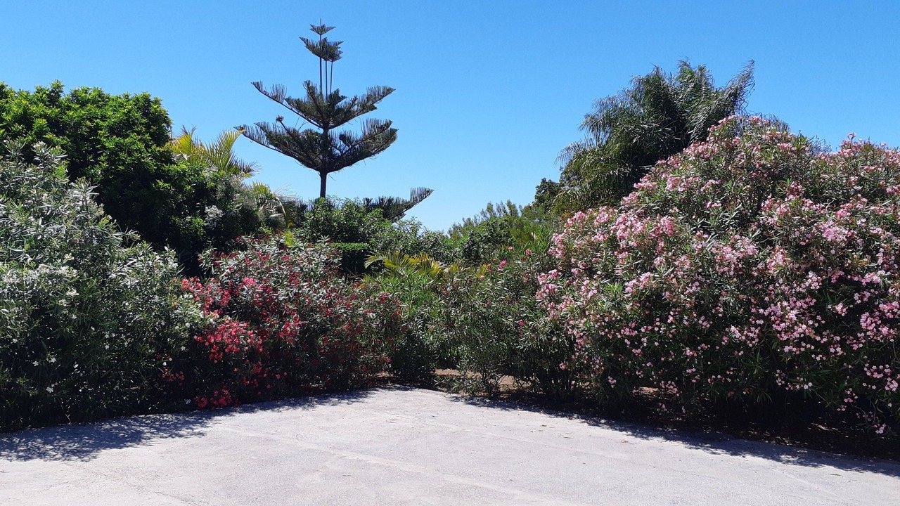 Photo of Outdoor in Las Arenas