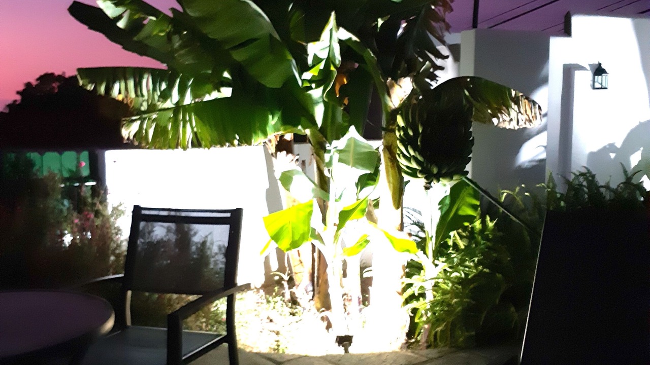 Photo of Patio Balcony in Las Arenas