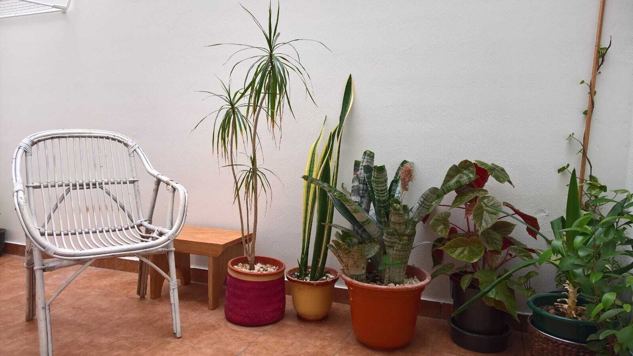 Photo of Patio Balcony in Catasol