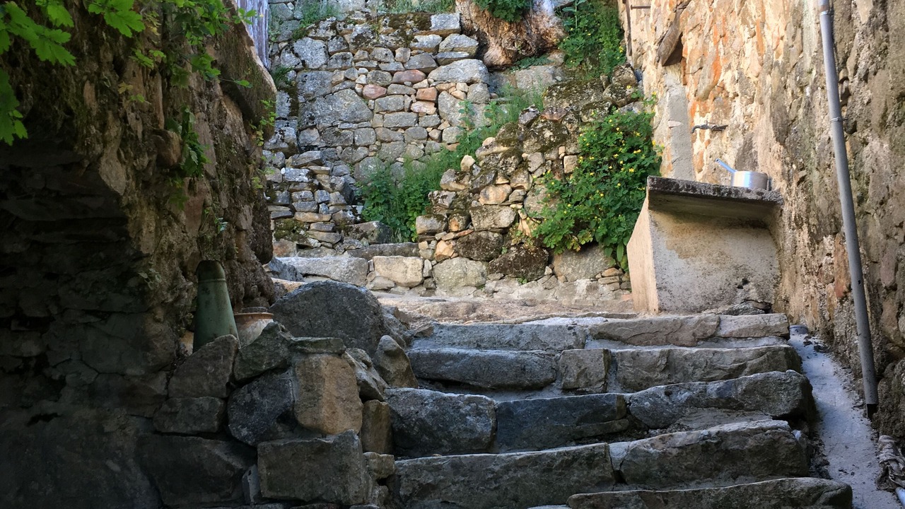 Photo of Outdoor in Dourbies