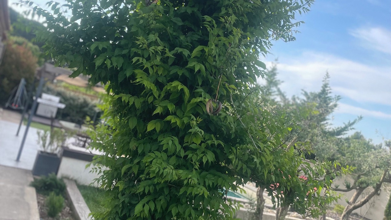 Photo of Outdoor in Merindol