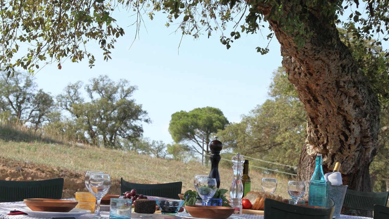 Photo of Outdoor in Llagostera