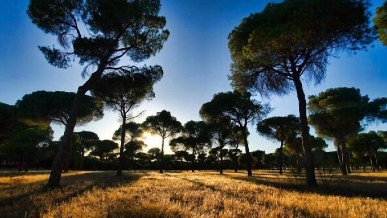 Photo of Outdoor in Pollos
