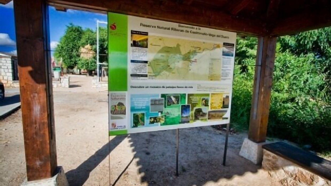Photo of Outdoor in Pollos