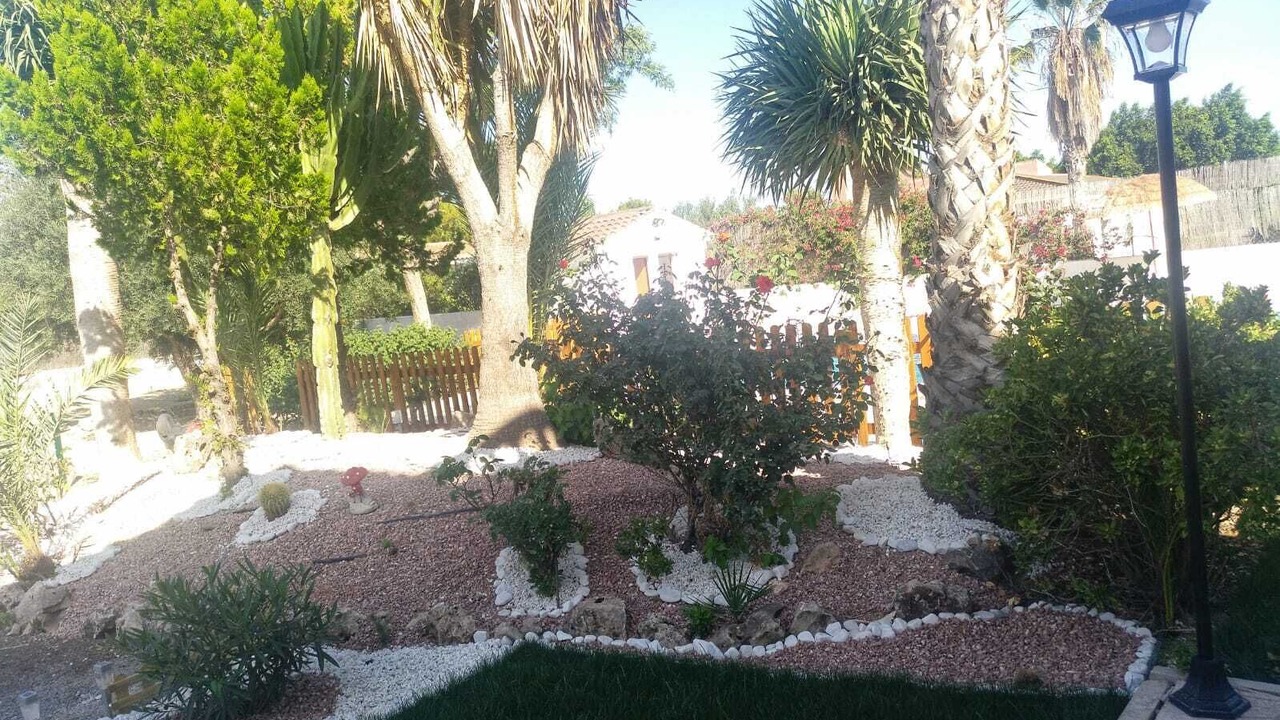 Photo of Outdoor in Elche