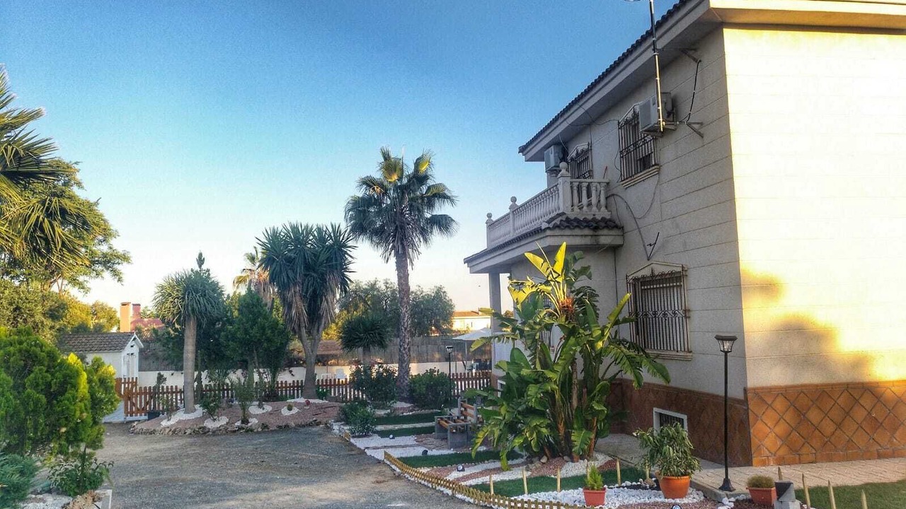 Photo of Outdoor in Elche
