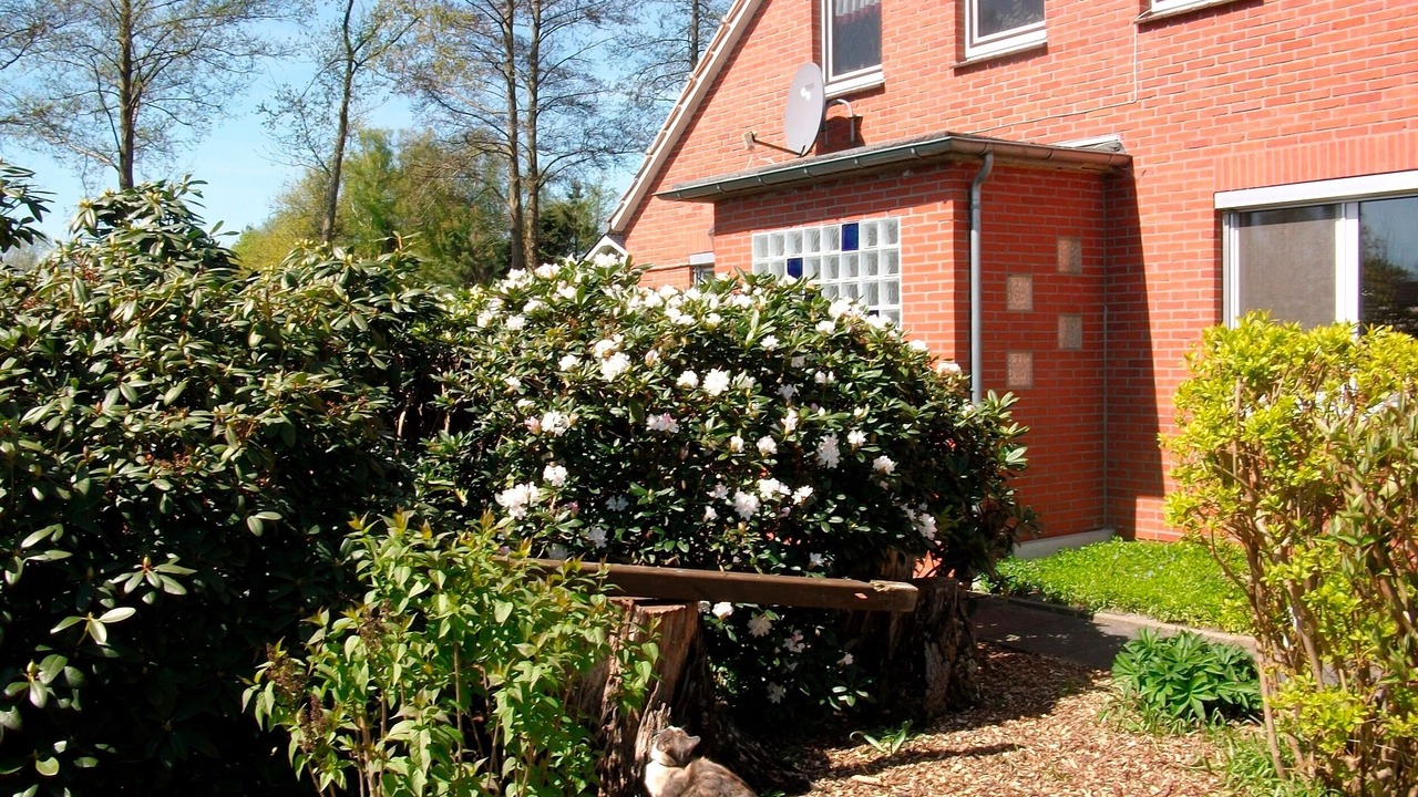 Photo of Outdoor in Bockhorst