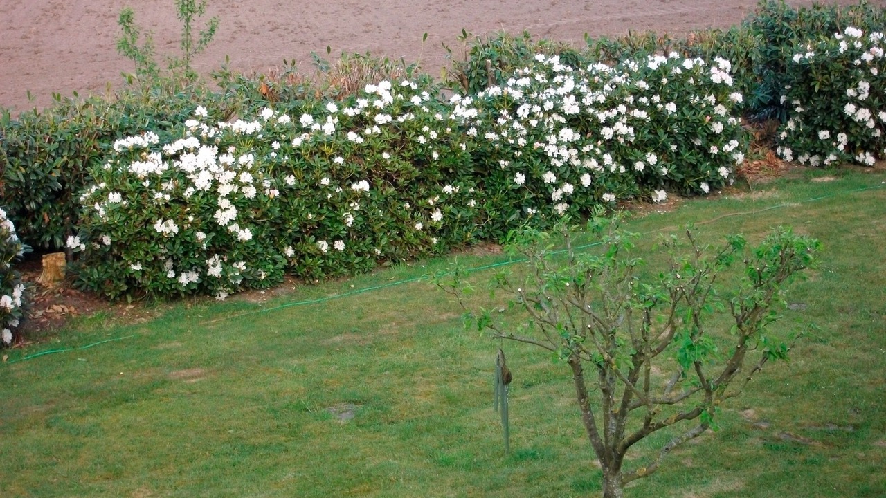 Photo of Outdoor in Bockhorst