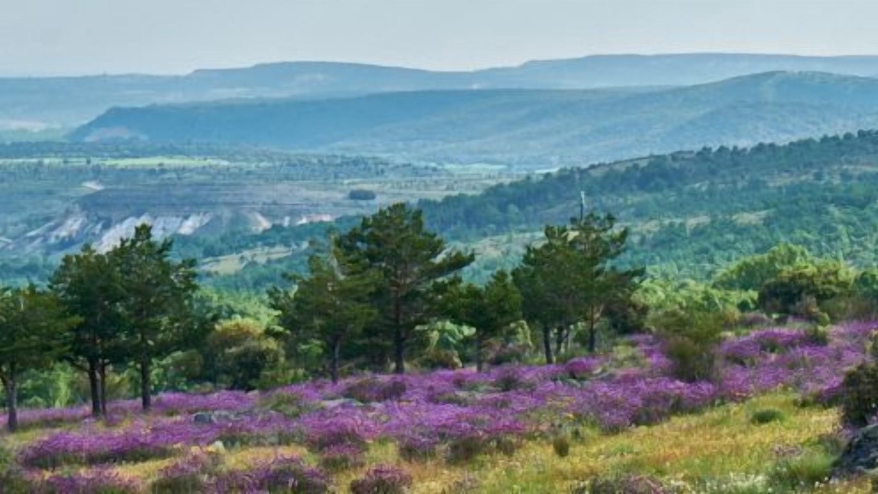 Photo of Outdoor in La Salceda