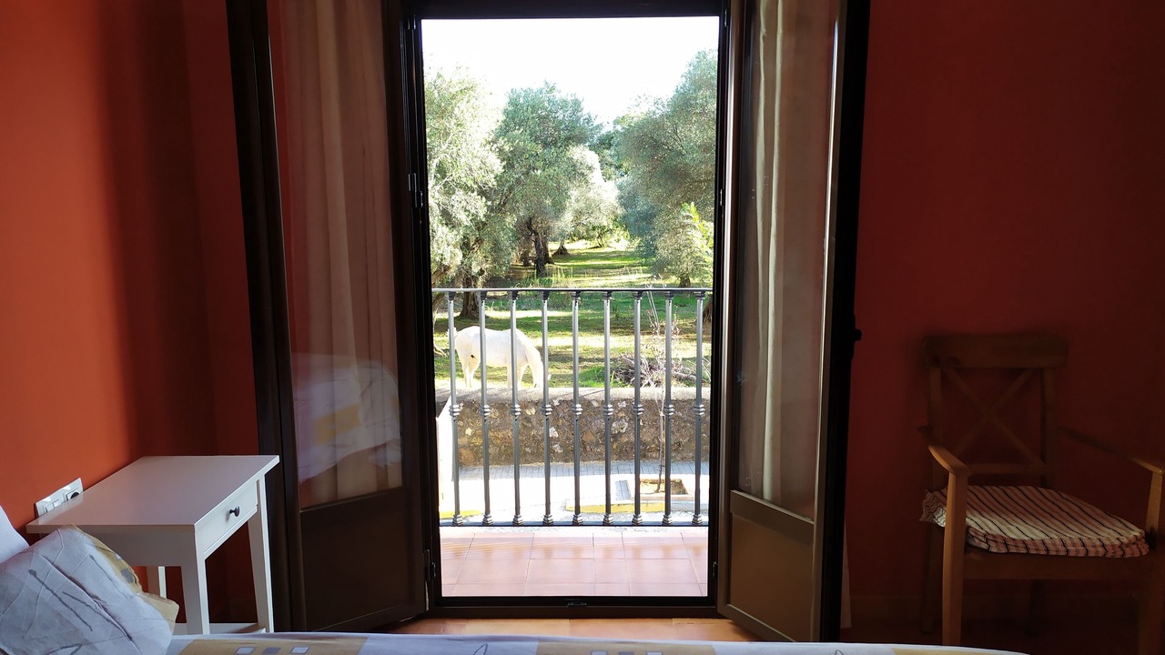 Photo of Bedroom in Alajar