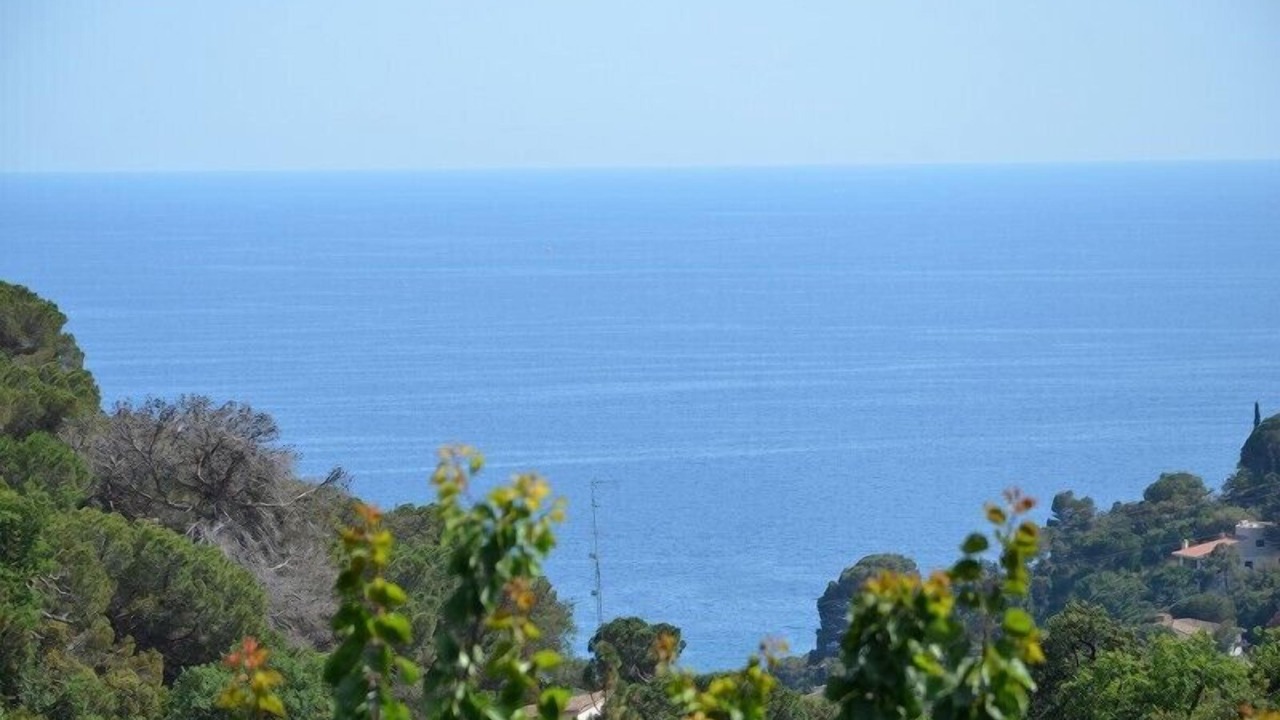 Photo of Others in Tossa de Mar