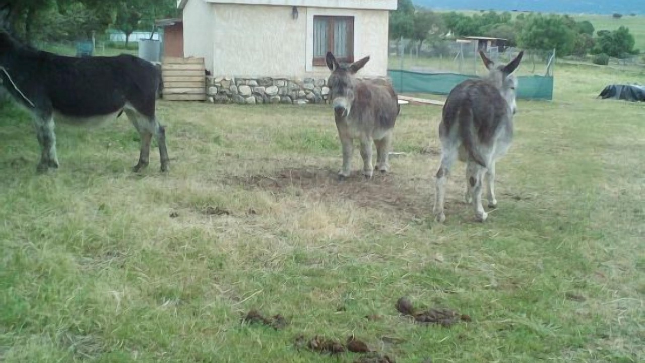Photo of Outdoor in Losana de Piron