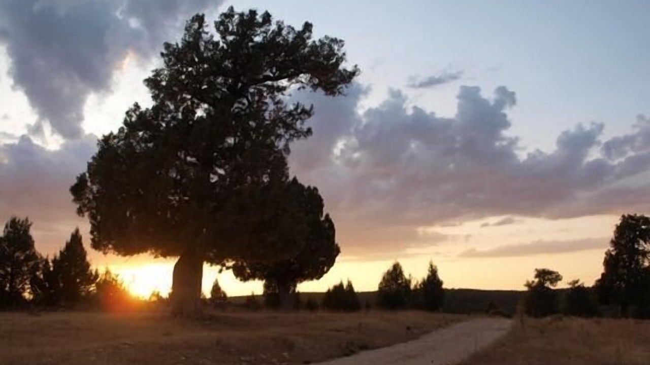 Photo of Outdoor in Casla