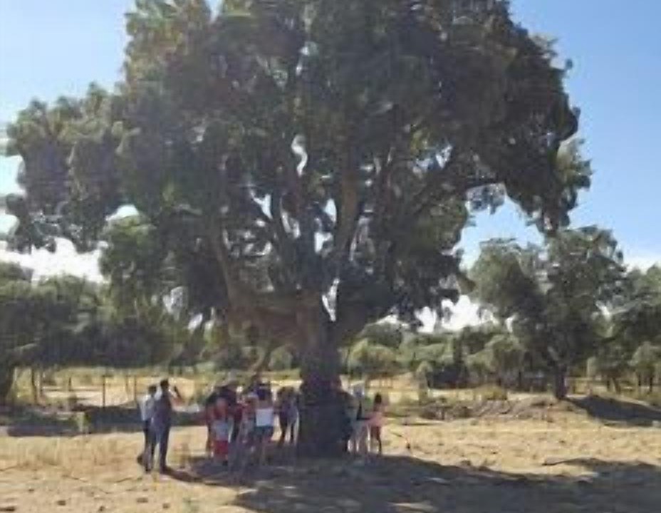 Photo of Outdoor in Losacio