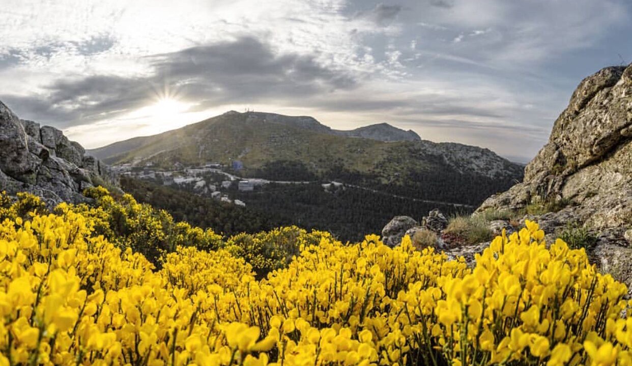 Photo of Outdoor in Cercedilla