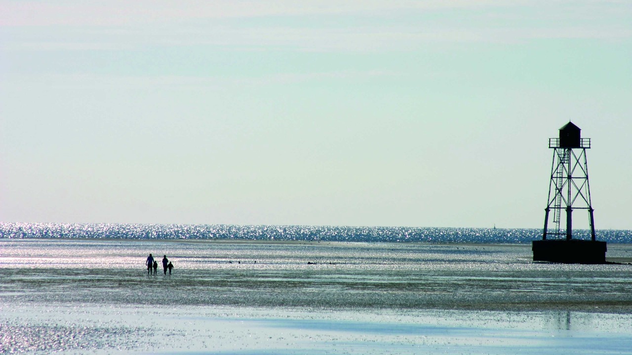 Photo of Others in Westertilli