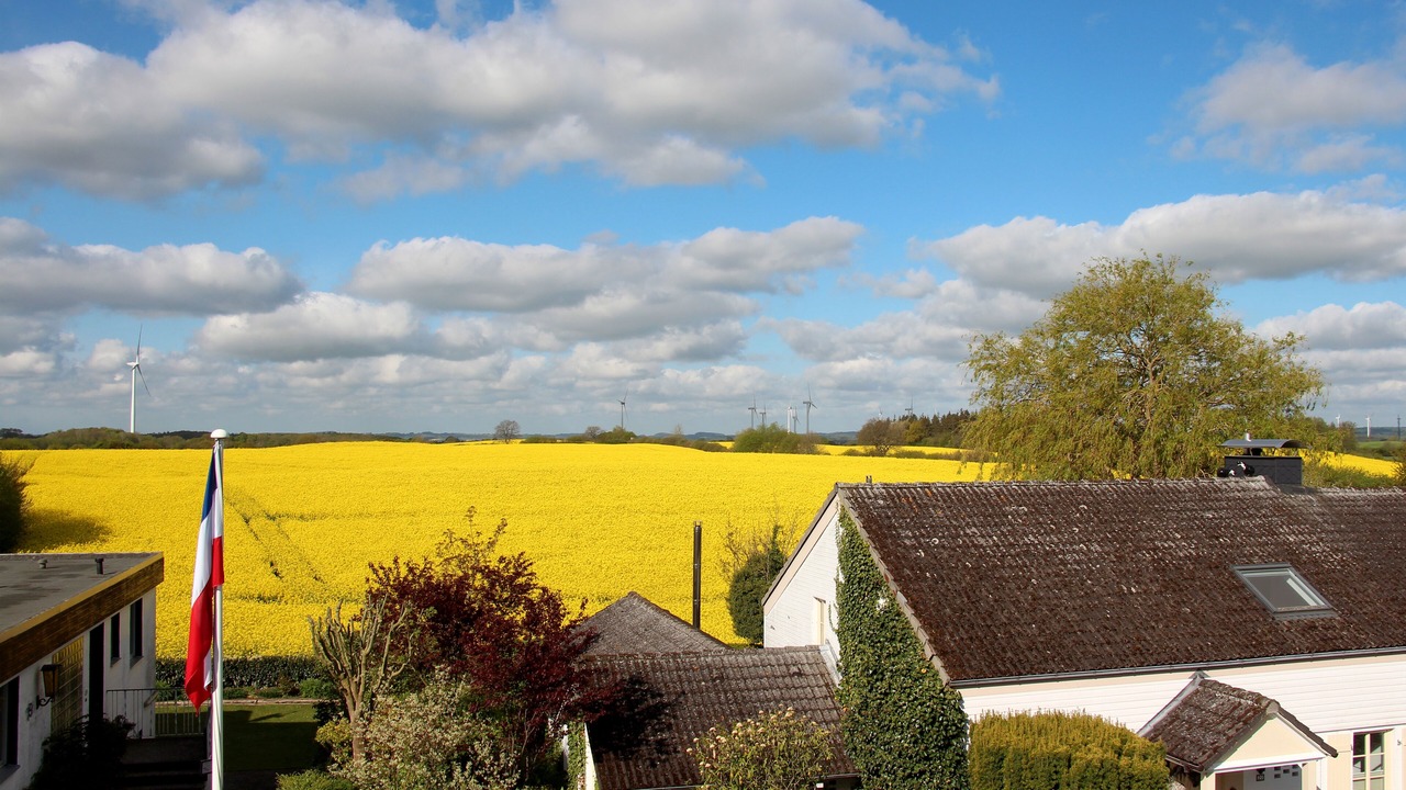 Photo of Outdoor in Brenkenhagen