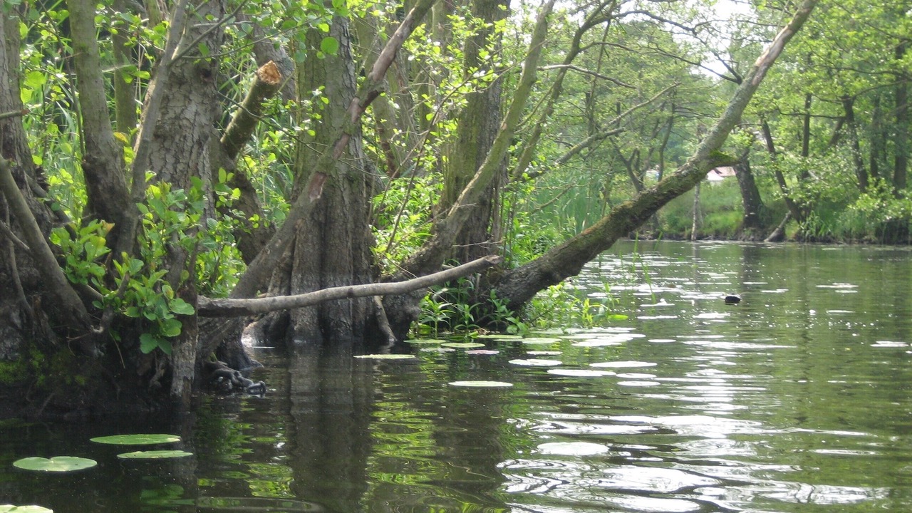 Photo of Outdoor in Havelberg