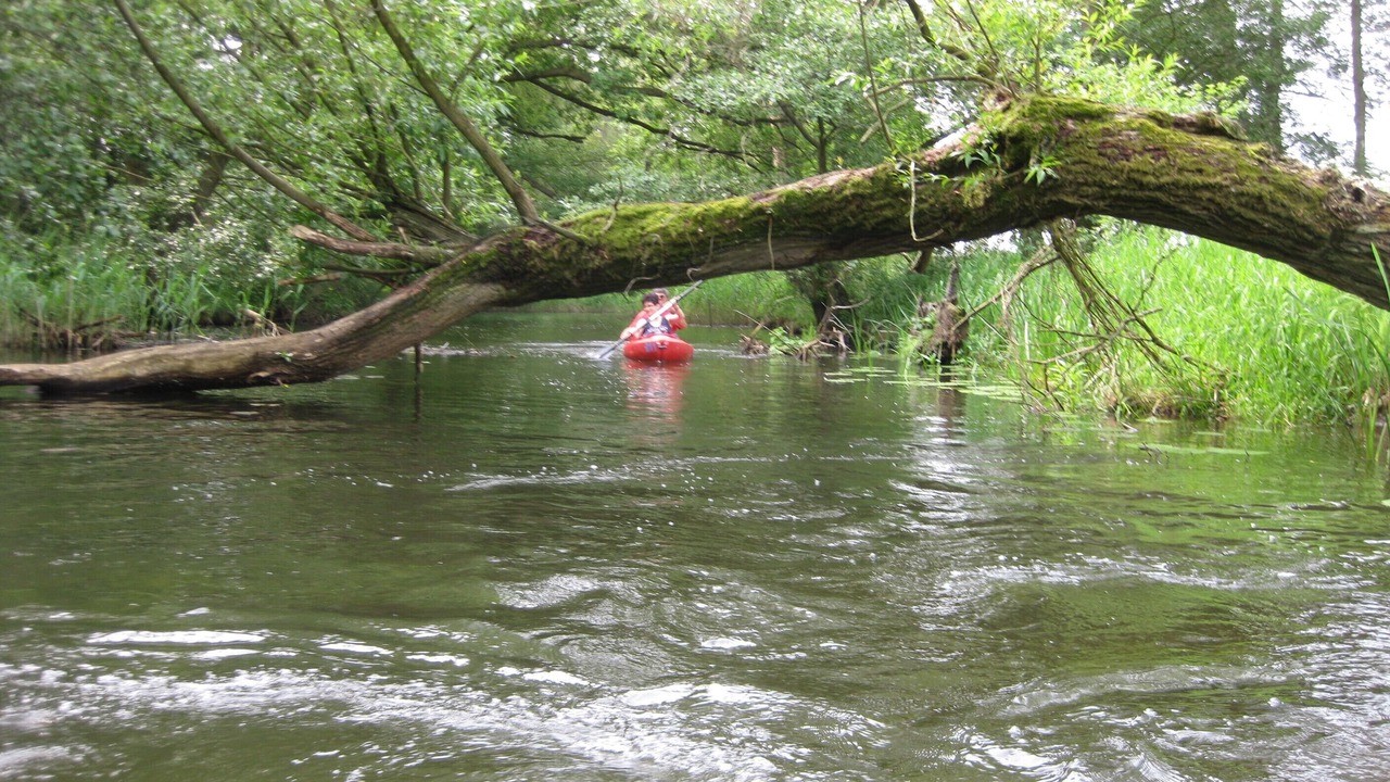 Photo of Others in Havelberg