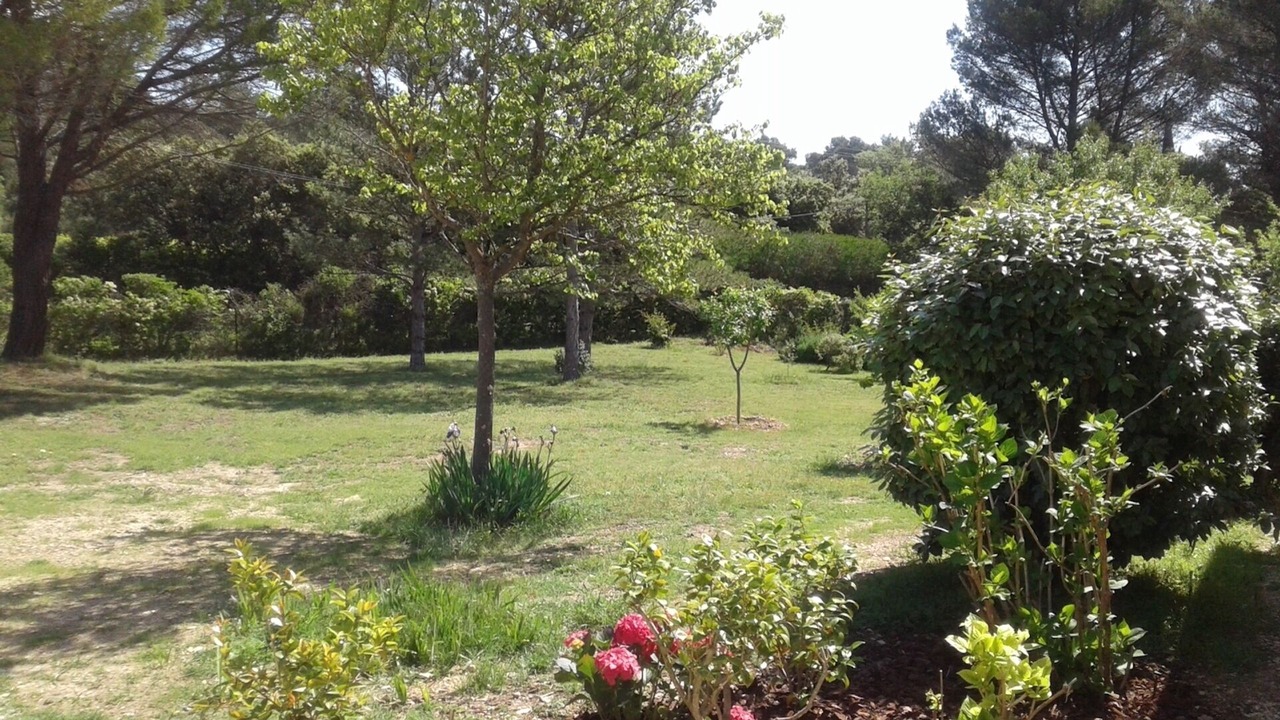 Photo of Outdoor in Lauris