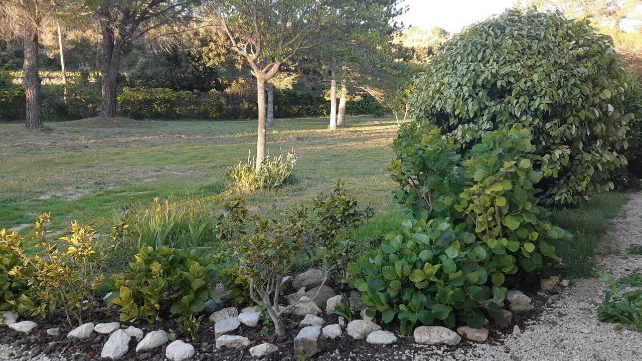 Photo of Outdoor in Lauris