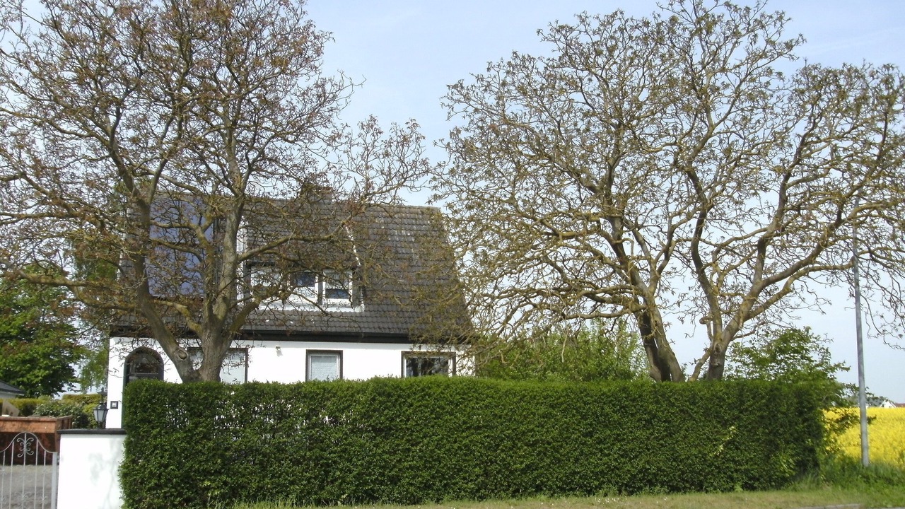 Photo of Outdoor in Dahme