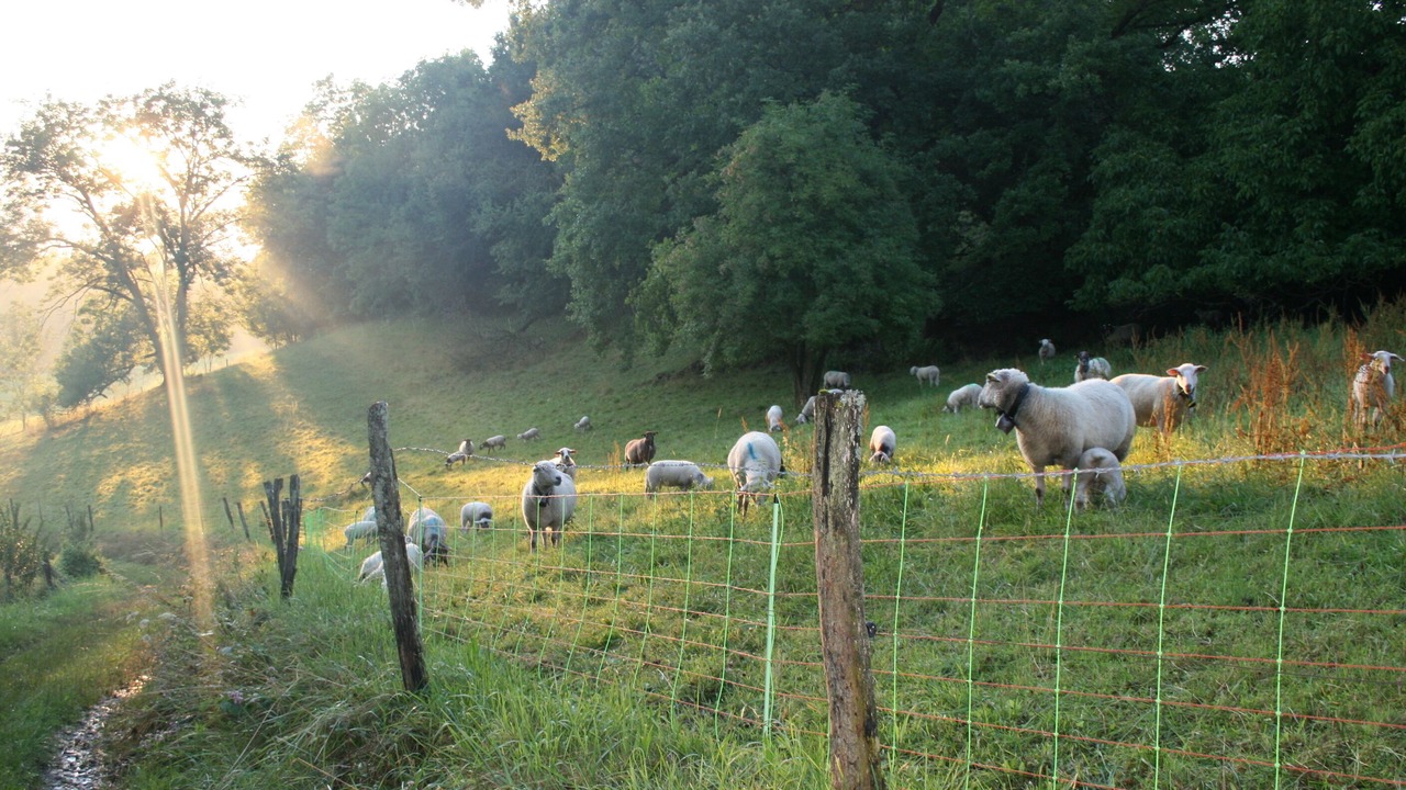 Photo of Outdoor in Neydens