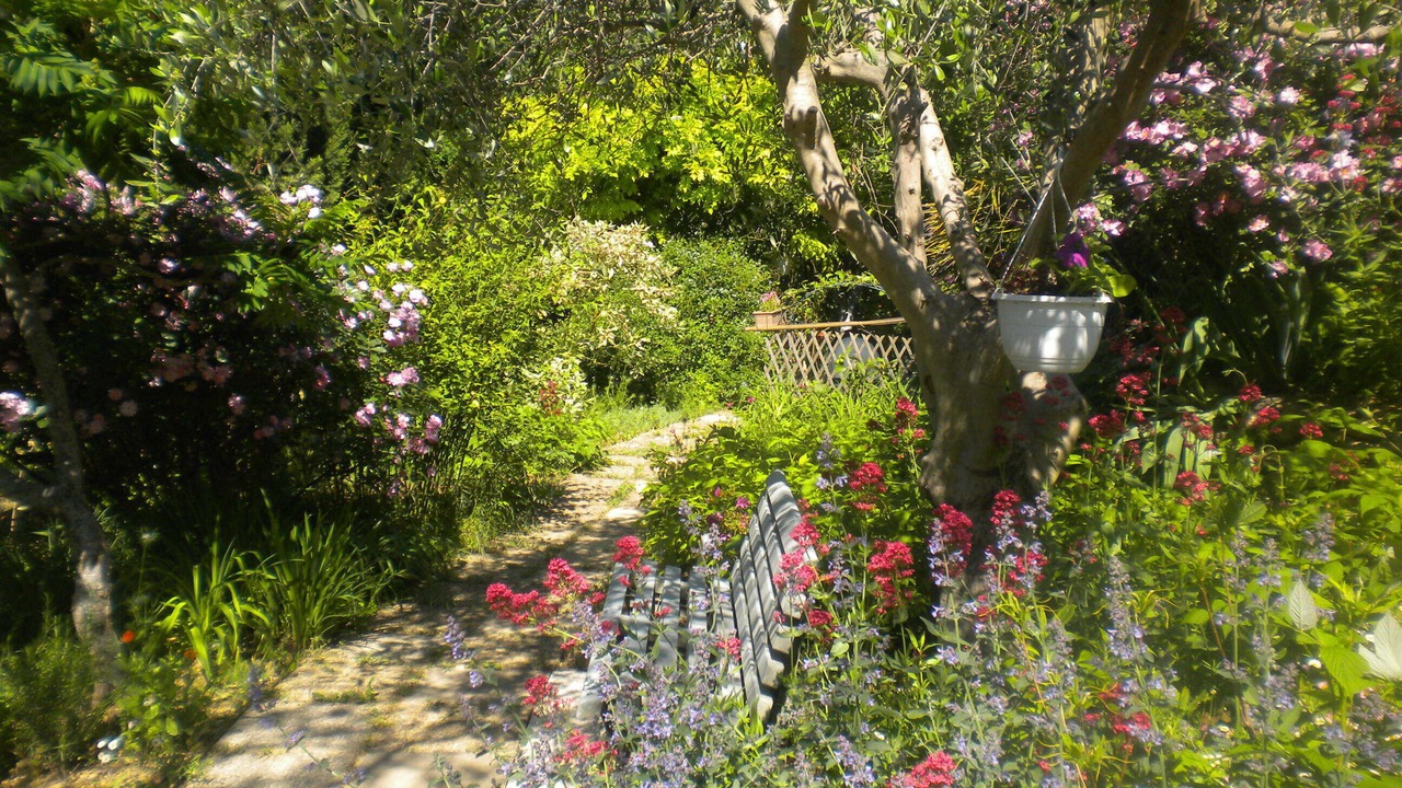 Photo of Outdoor in Saint-Gilles