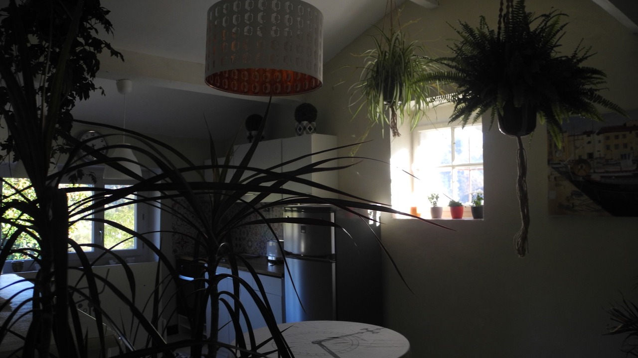 Photo of Kitchen in Sumene
