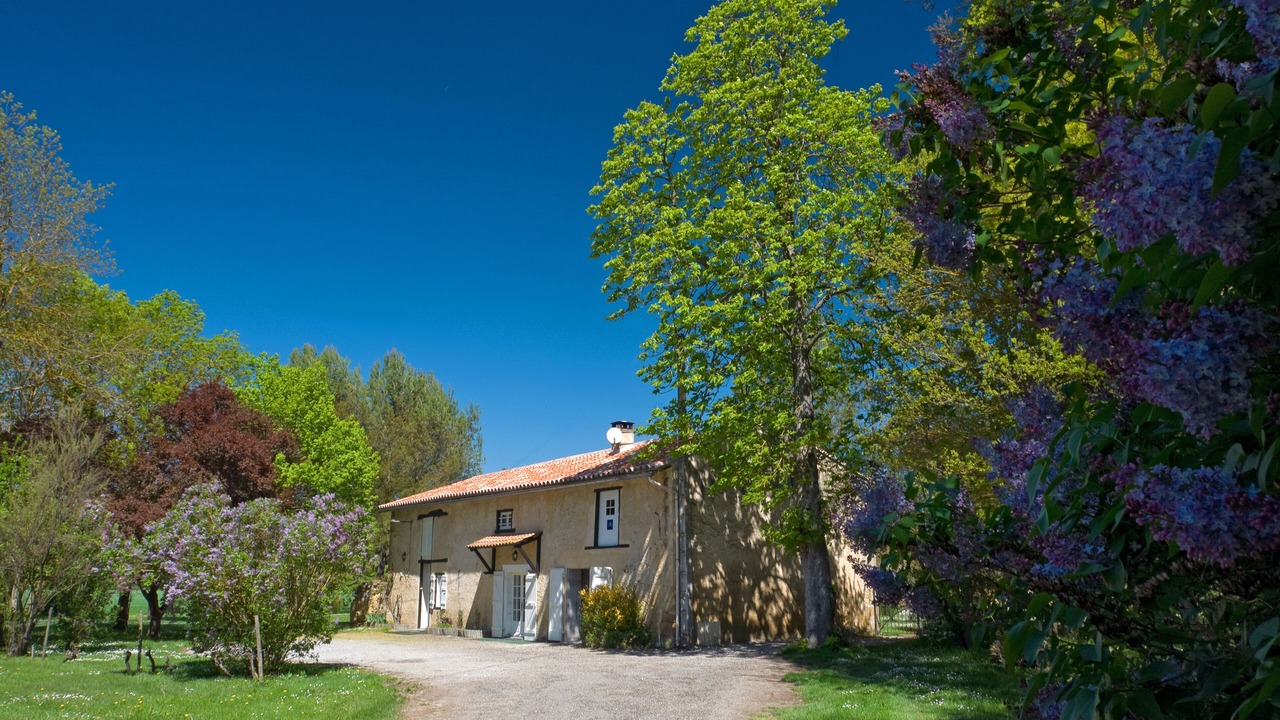 Photo of Others in Plaigne