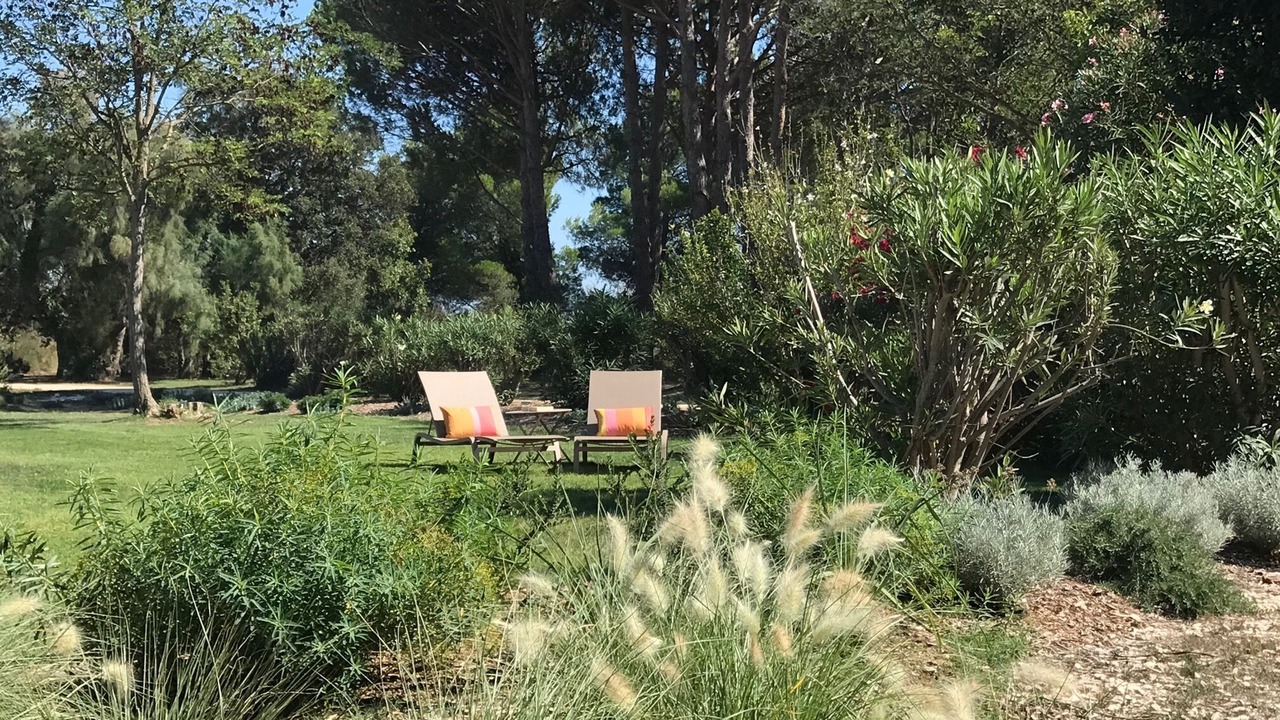 Photo of Outdoor in Arles