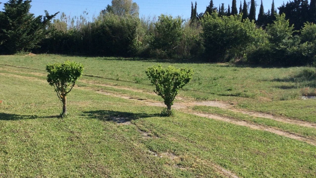 Photo of Outdoor in Alleins