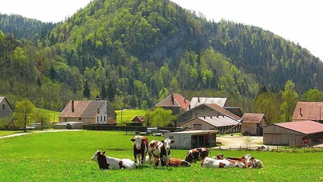 Photo of Outdoor in Bourg-de-Sirod