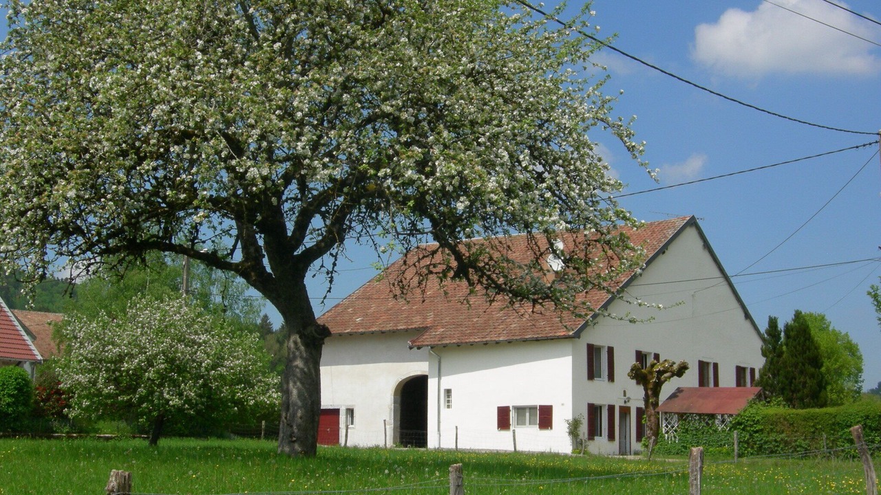 Photo of Outdoor in Bourg-de-Sirod
