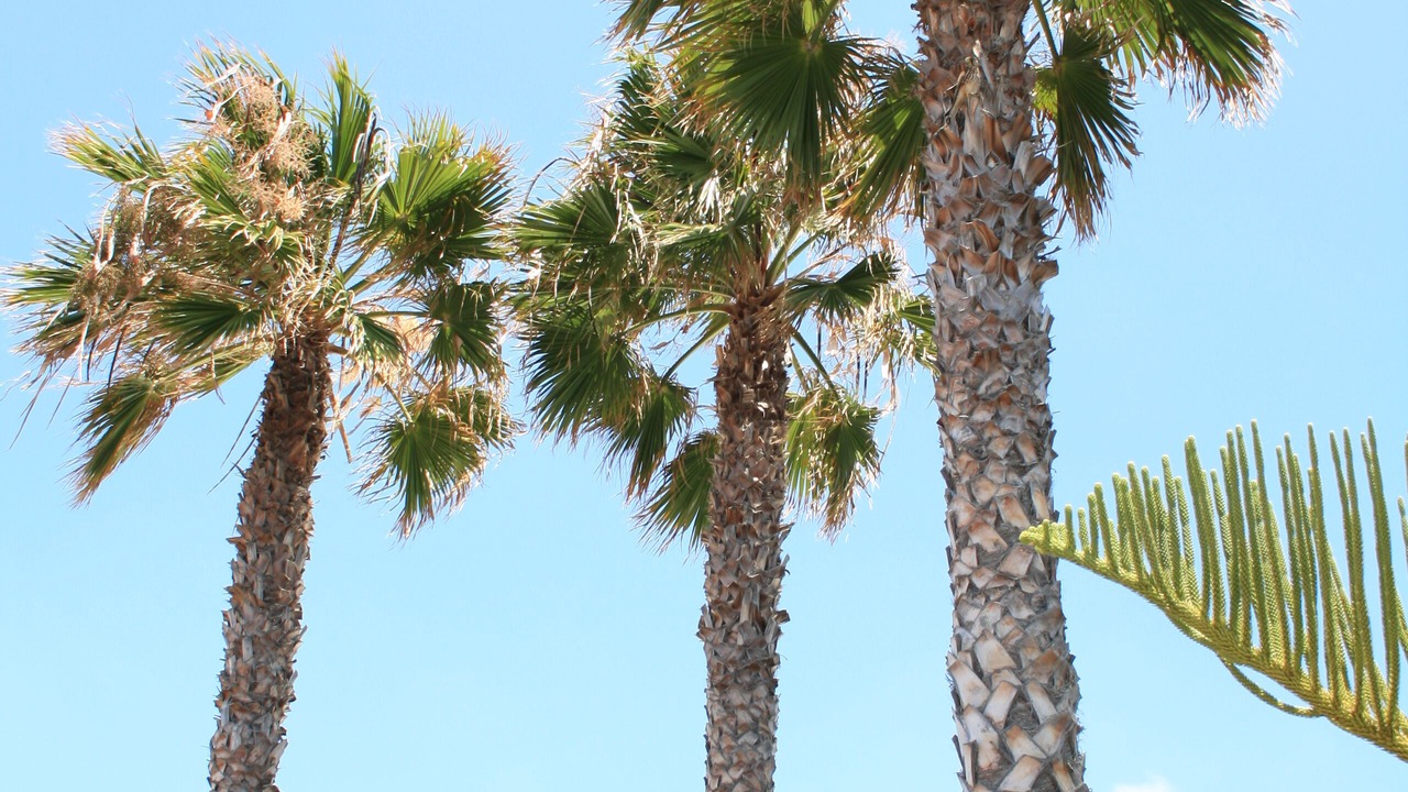 Photo of Outdoor in Charco del Palo