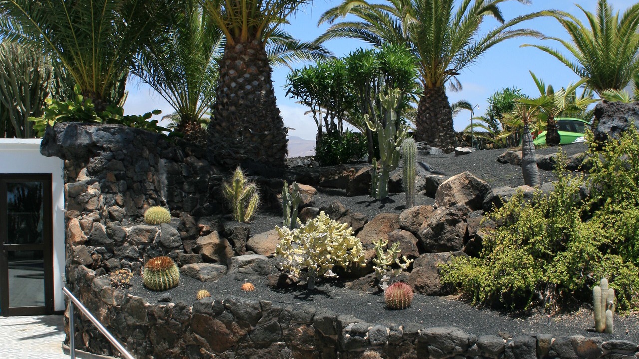Photo of Outdoor in Charco del Palo