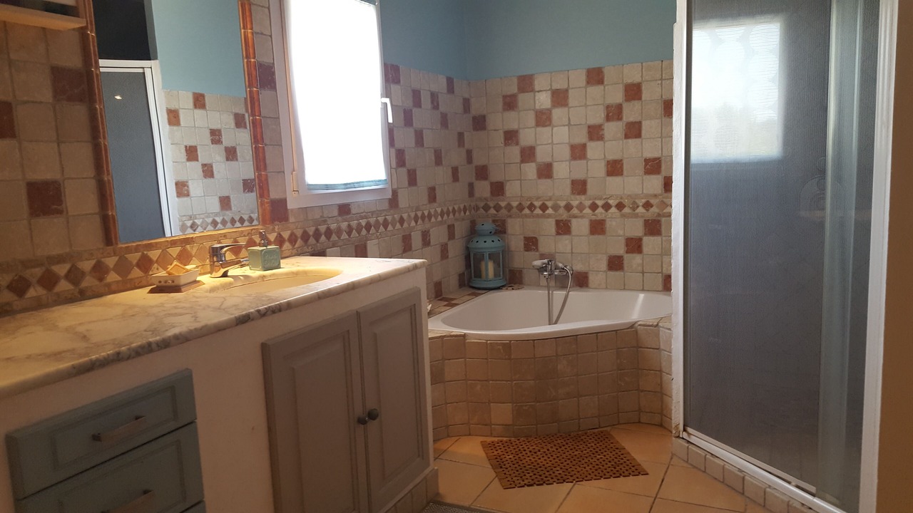 Photo of Bathroom in Rousset