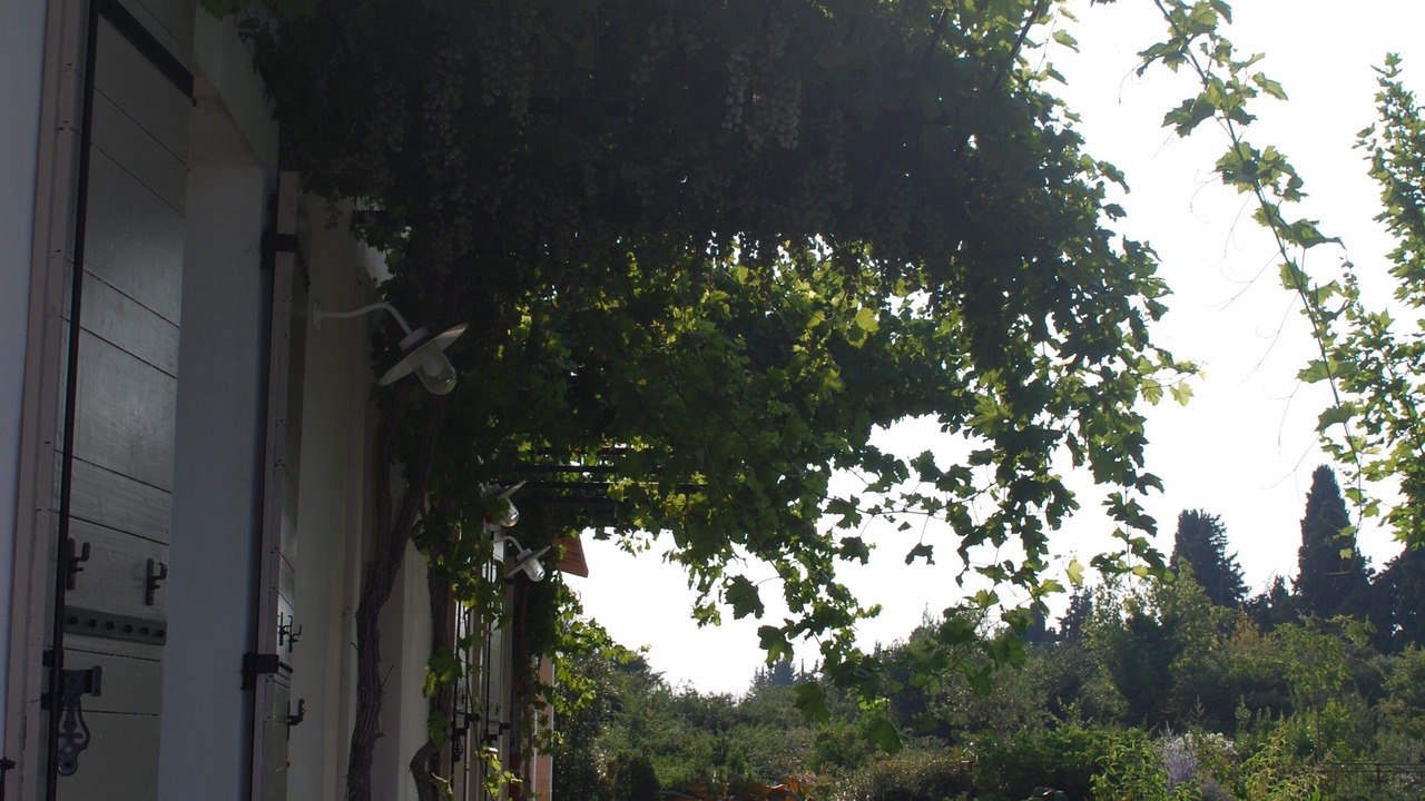 Photo of Outdoor in Maillane