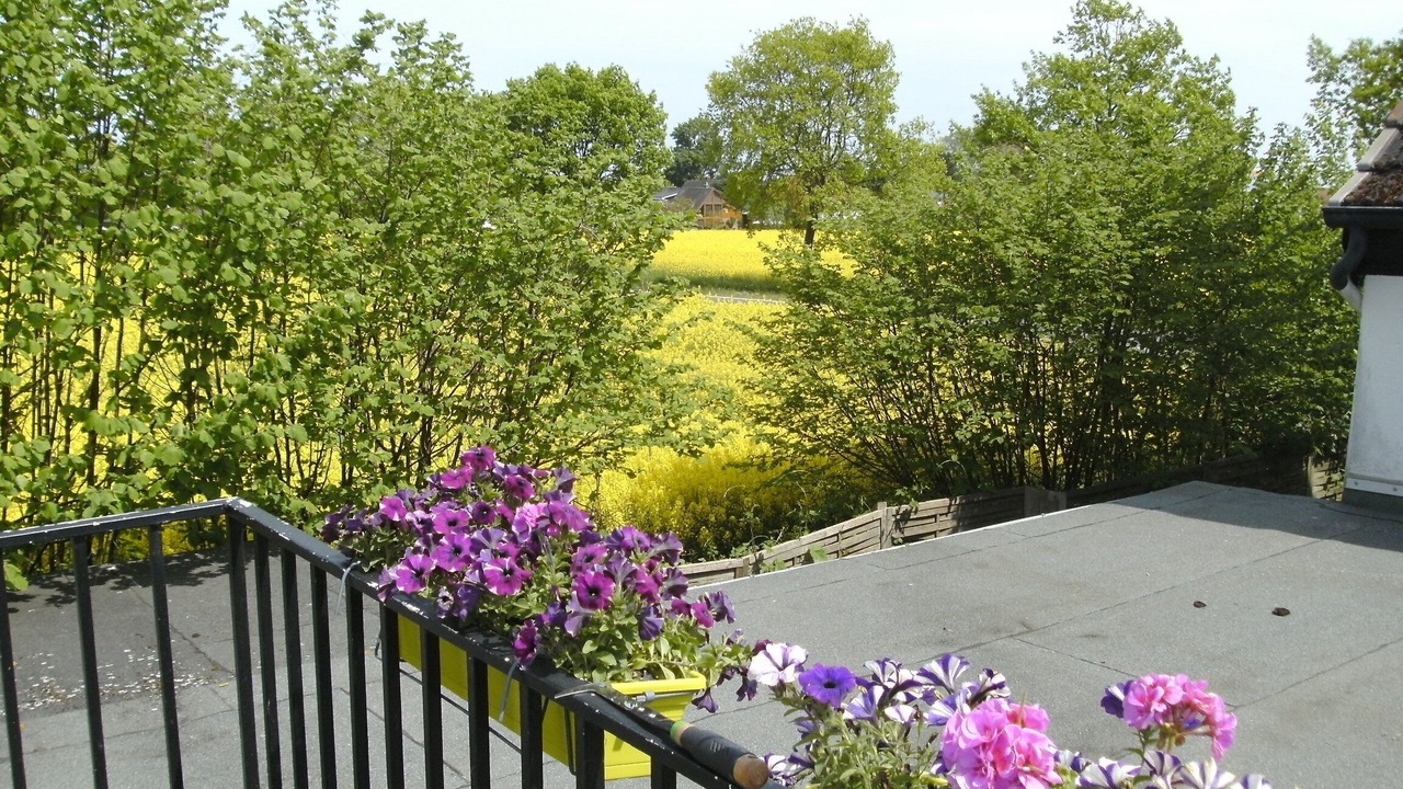 Photo of Outdoor in Dahme