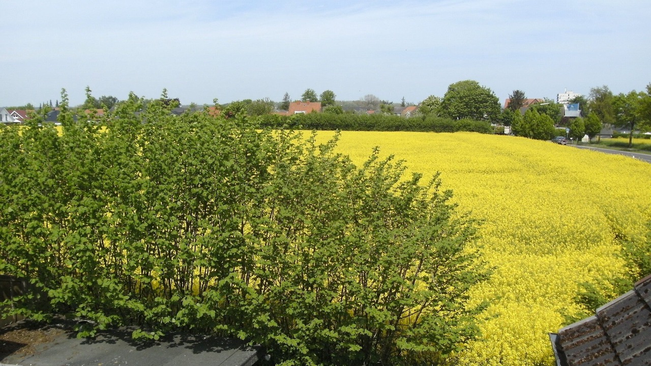 Photo of Outdoor in Dahme