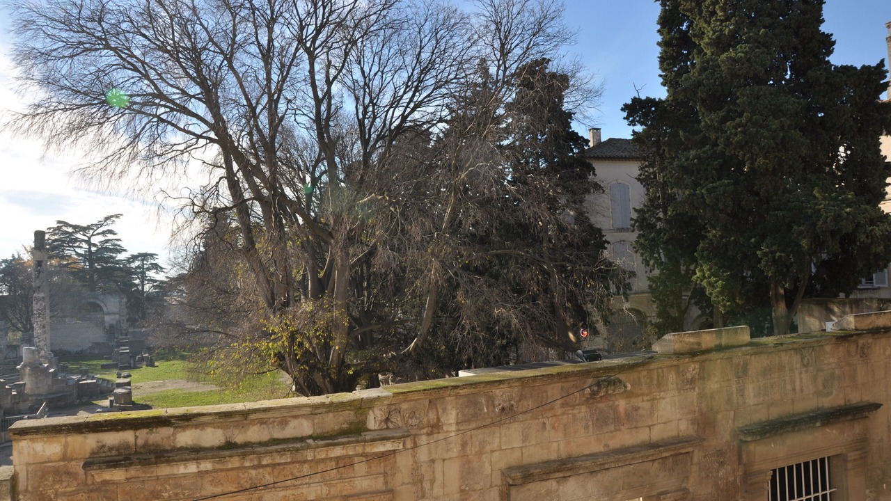 Photo of Others in Arles City Centre