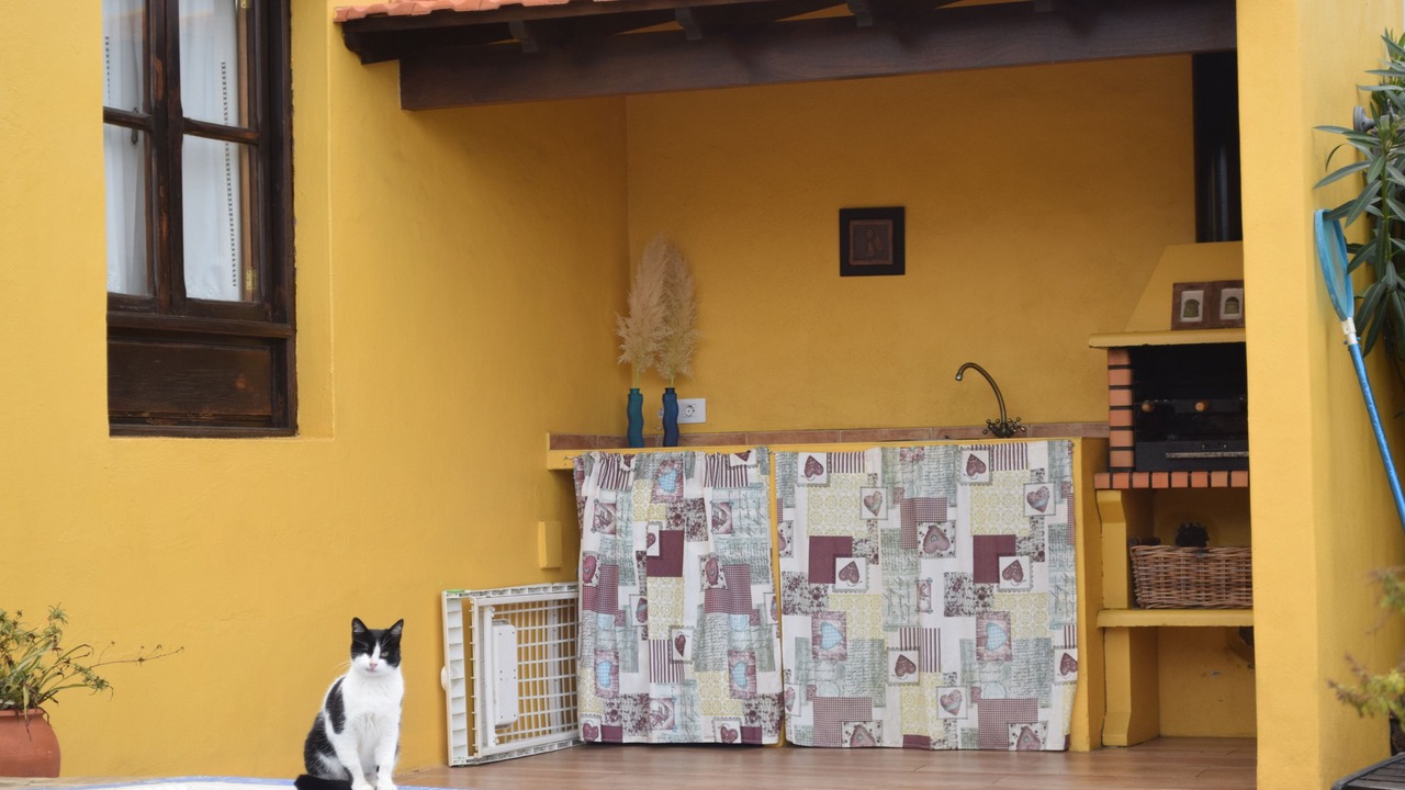 Photo of Outdoor in El Rosario