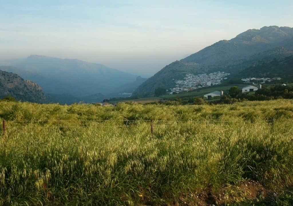 Photo of Outdoor in Montejaque