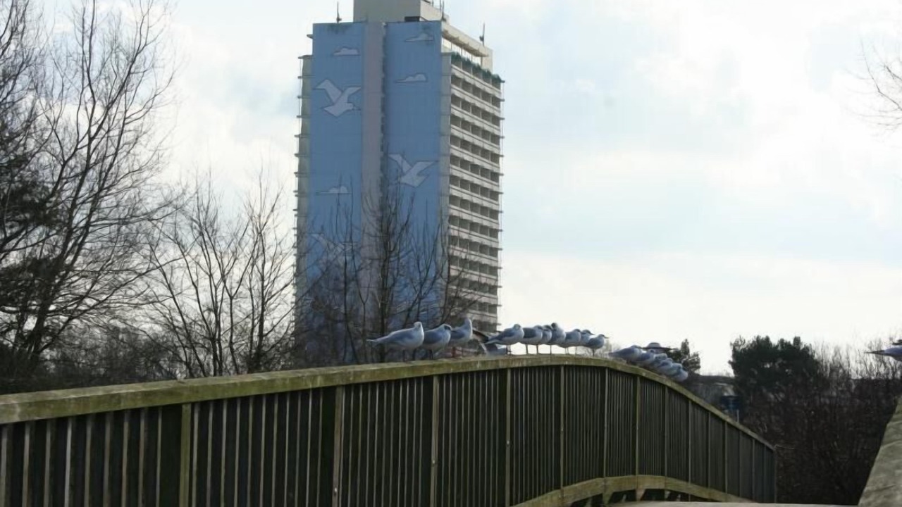 Photo of Outdoor in Holm