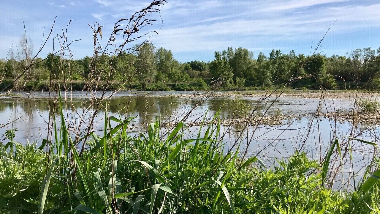 Photo of Outdoor in Dions