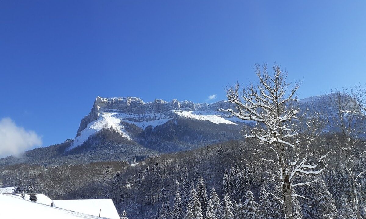 Photo of Outdoor in Entremont-le-Vieux