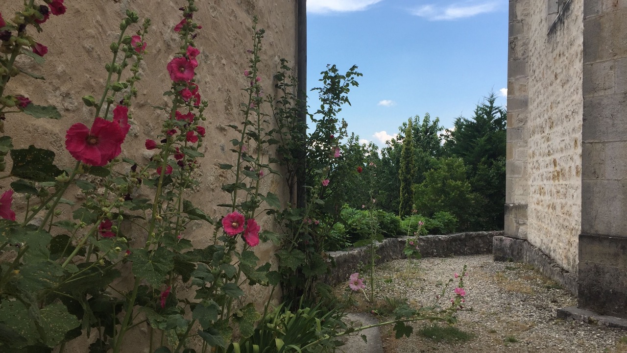 Photo of Outdoor in Saint-Martin-de-Bavel