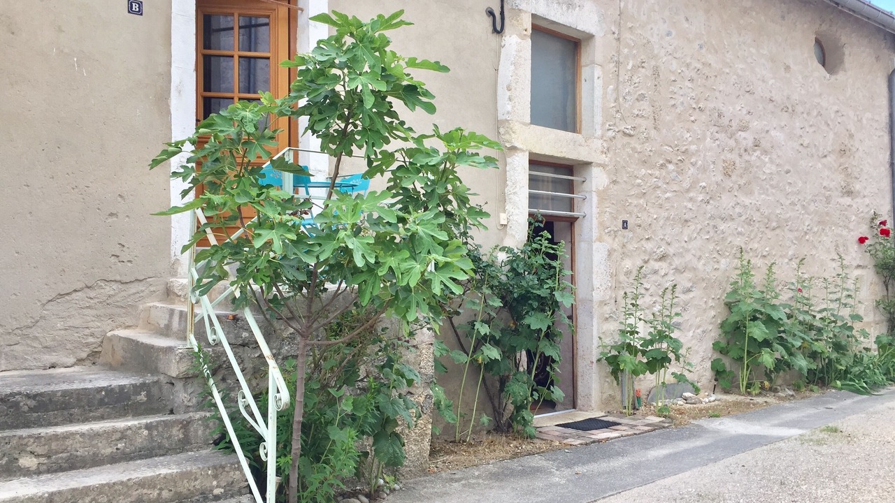 Photo of Outdoor in Saint-Martin-de-Bavel