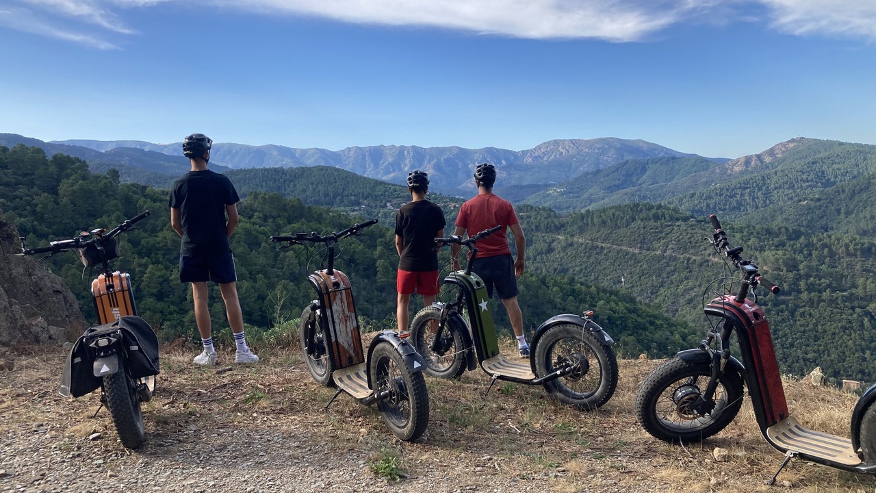 Photo of Others in Ribes